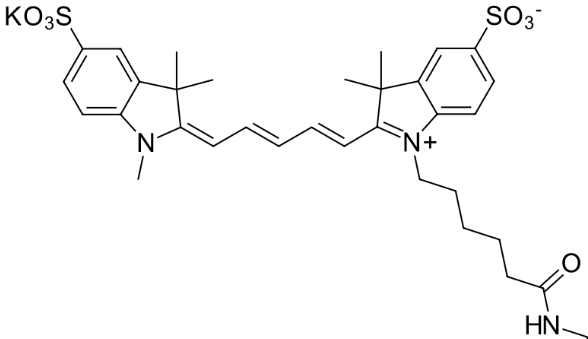 Cy7-Recombinant Protein IL-2 免疫调节型Cy7-重组蛋白