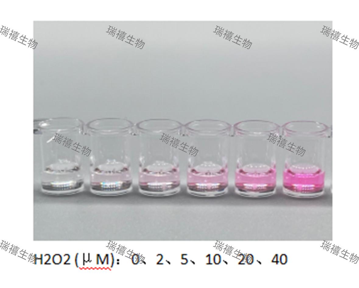 H2O2超快检测试剂盒