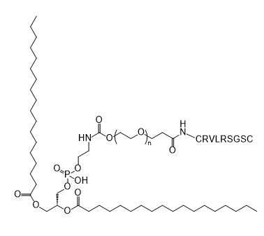 DSPE-PEG-CRVLRSGSC,二硬脂酰基磷脂酰乙醇胺-聚乙二醇-CRVLRSGSC 肽
