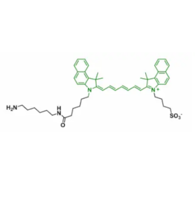ICG-COOH 的荧光量子产率及其在生物检测中的灵敏度分析