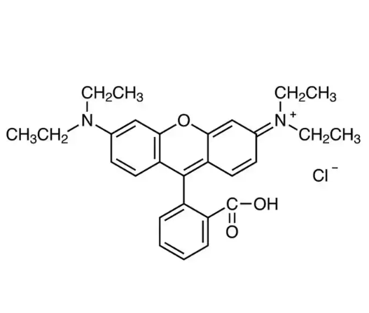 FA-PEG-RB 叶酸-聚乙二醇-罗丹明B的系列产品