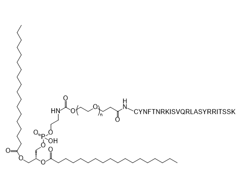 DSPE-PEG-CYNFTNRKISVQRLASYRRITSSK,二硬脂酰基磷脂酰乙醇胺-聚乙二醇-CYNFTNRKISVQRLASYRRITSSK 肽