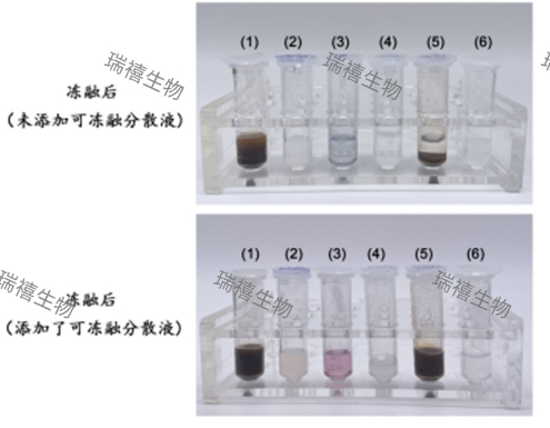 可冻融分散液