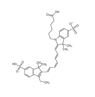 酶解法制备制备 CY7-壳寡糖的制备方法