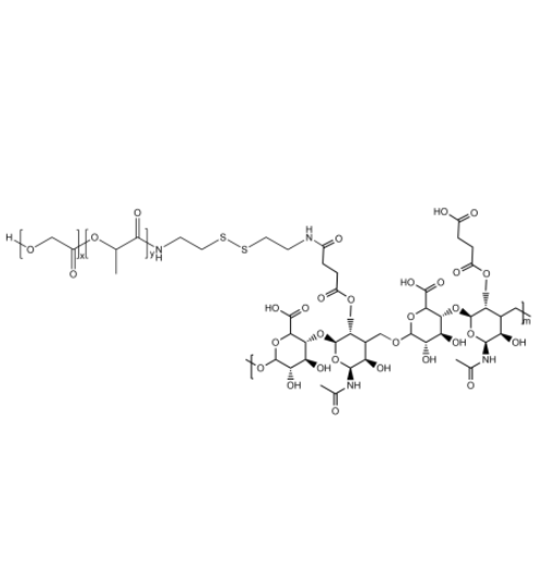 聚乳酸-羟基乙酸共聚物-双硫键-透明质酸介导的基因传递系统的构建与评价