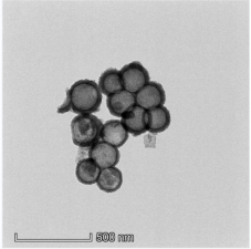 PAMAM功能化生物磁性纳米探针检测系统