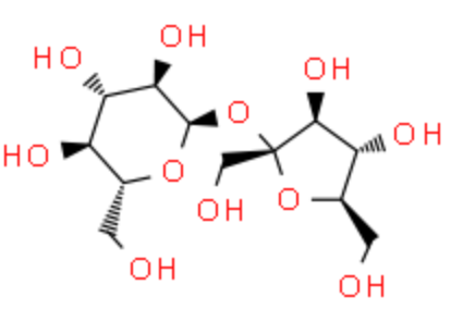 70k Ficoll-Rhodamine 罗丹明标记的70kDa聚蔗糖偶联物