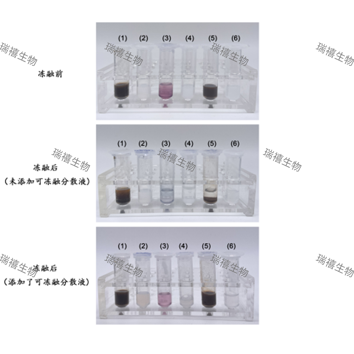 可冻融分散液