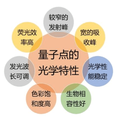 ZnO 量子点