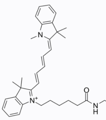 100nm RGD/LNP-cy5脂质纳米颗粒-花菁染料CY5-RGD的物理性质