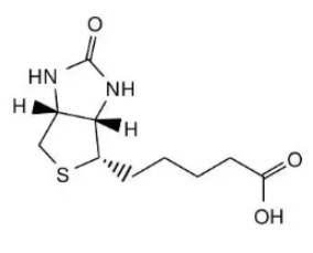 70KFicoll-Biotin 聚蔗糖70K-生物素