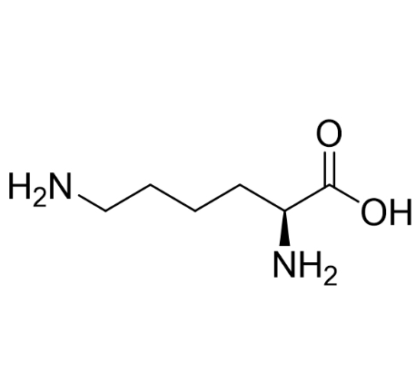 HO-PEG1000-NHS-(Lys)20-NH2 羟基聚乙二醇2k-活性酯-赖氨酸20-氨基