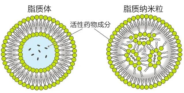 薄膜分散法制备cRGD 修饰的脂质体负载奥沙利铂的制备方法