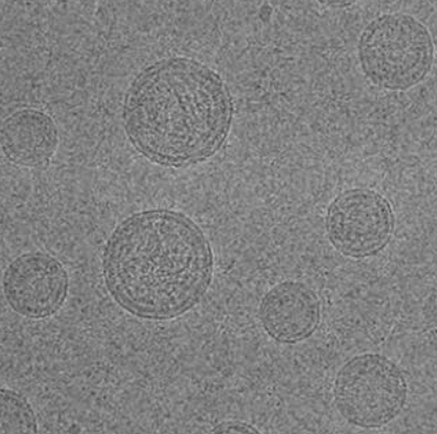 Cyanine5@LNP-RGD（100nm） Cyanine5标记RGD脂质纳米粒的产品衍生