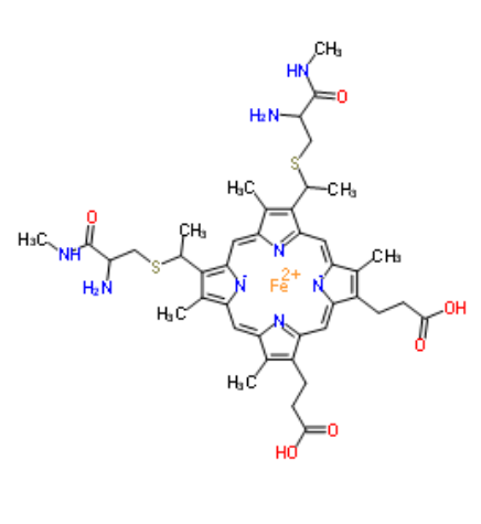 异硫氰酸荧光素标记细胞色素C  FITC-Cytochrome C的产品综述