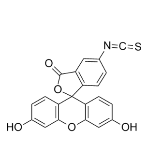荧光素标记FSGTVTTAGLLFC多肽  FITC-FSGTVTTAGLLFC的产品科普