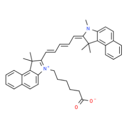 CY5.5标记DSPE-PEG-Prtp1肽：Prtp1肽的功能特性 
