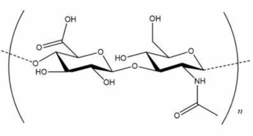 Hyaluronate-Fluorescein 透明质酸-荧光素的性质特点