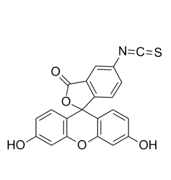 异硫氰基荧光素标记链霉亲和素  Streptavidin-FITC的产品购买闭坑指南