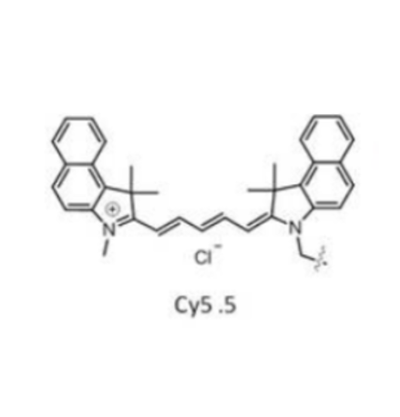 花菁染料CY5.5标记链霉亲和素  Streptavidin-CY5.5的产品科普