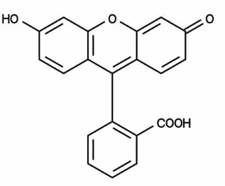 Fluorescein Isothiocyanate-HA 荧光素-透明质酸的优缺点