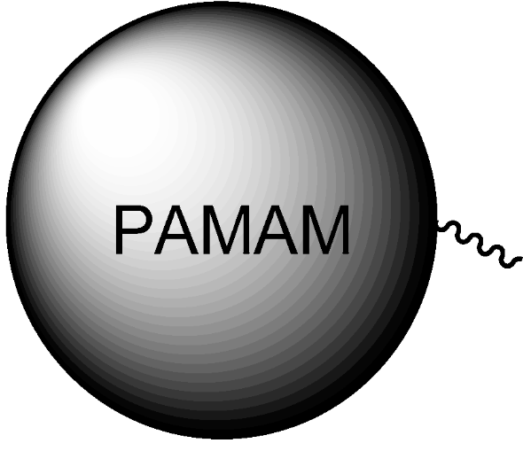 PAMAM改性