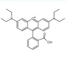  DSPE-RB二硬脂酰基磷脂酰乙醇胺-罗丹明的应用  