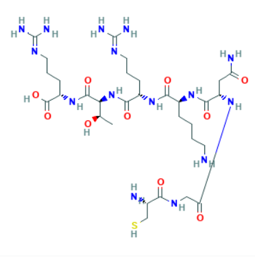 DSPE-PEG偶联tLyP-1的功能与应用  