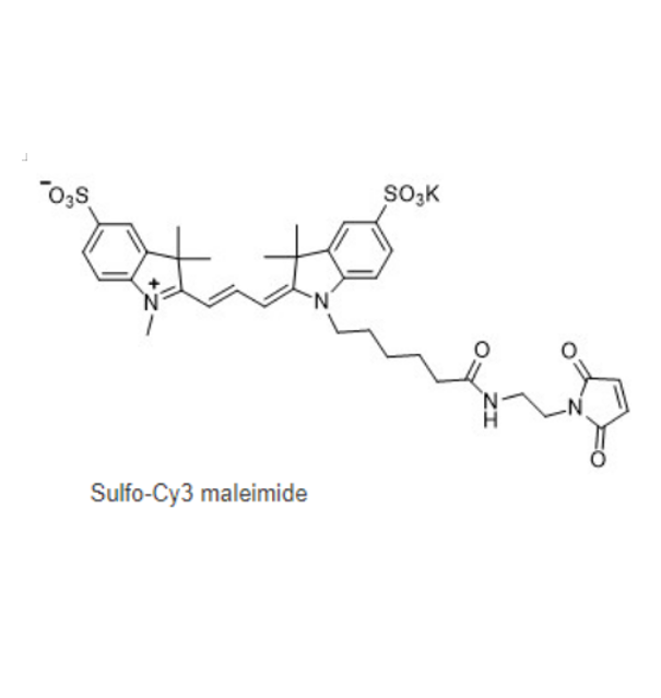 磺酸基-Cy3马来酰亚胺  sulfo-cy3-maleimide的产品科普