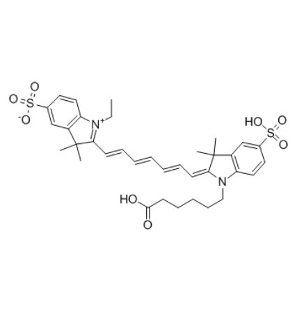 四氧化三铁表面修饰聚酰胺-胺G3-CY7 100nm的产品综述