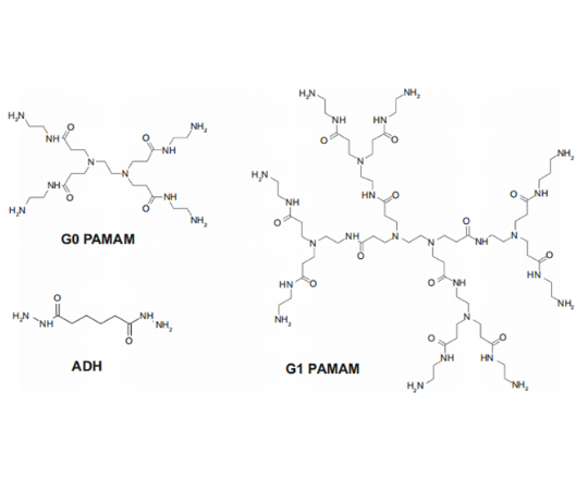 瑞禧生物PAMAM-COONa材料的大包装供应商