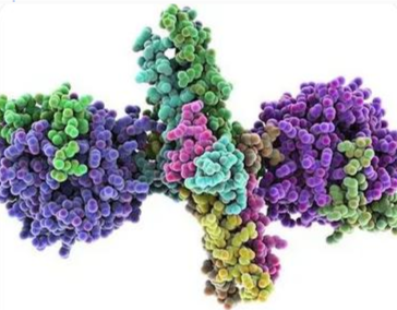 Cy5-Human Fibrinogen Cy5-人血纤维蛋白原的性质特点