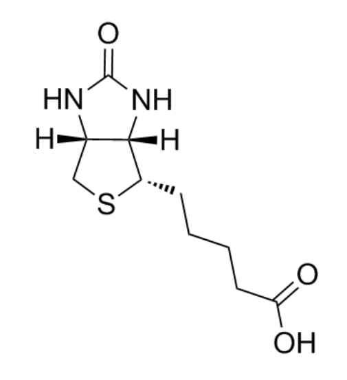 Biotin结构式