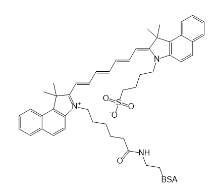 ICG-BSA,吲哚菁绿-牛血清白蛋白