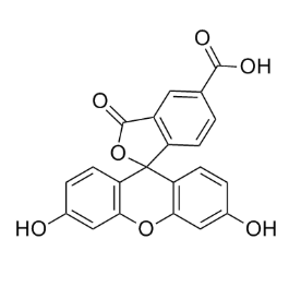 5-FAM