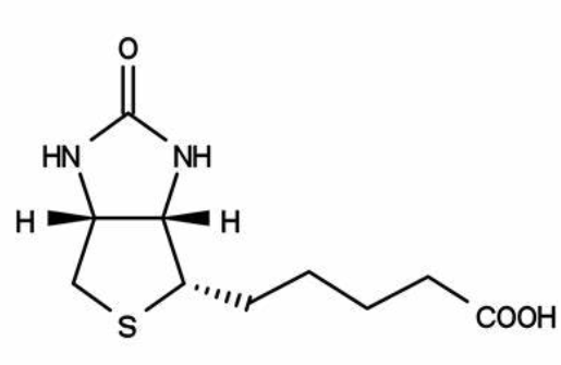 Hederagenin-Biotin 生物素修饰常春藤皂苷元