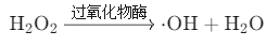 过氧化物酶的催化机制