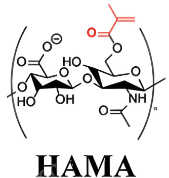 Hyaluronic acid Methacryloyl