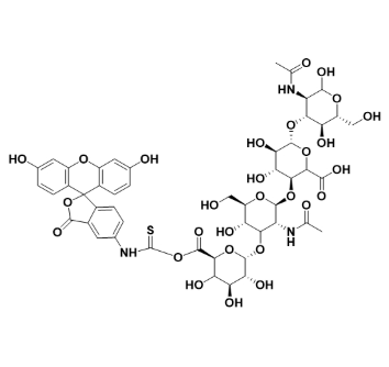 Fluorescein Isothiocyanate-HA 绿色荧光素-透明质酸的产品使用指南