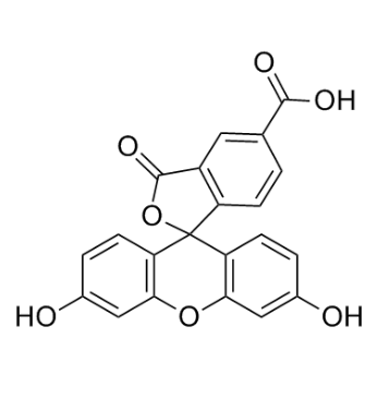 5-FAM结构式 