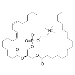Soybean phospholipid,L-α-磷脂酰胆碱
