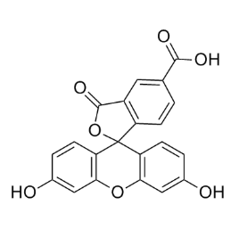 FAM偶联褐藻寡糖的核心成分与结构特性  