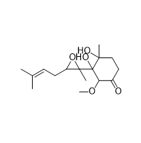ICG-ALB,吲哚菁绿-白蛋白