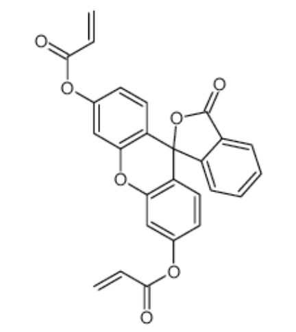 萤光素O,O'-二丙烯酸酯  FLUORESCEIN O O'-DIACRYLATE的产品保存指南