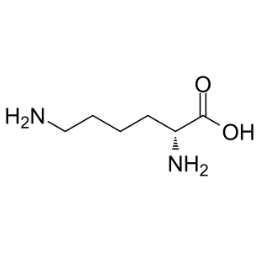 FAM-D-lysine FAM-D-赖氨酸的生物学应用与优势  