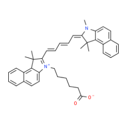 Cy5.5 