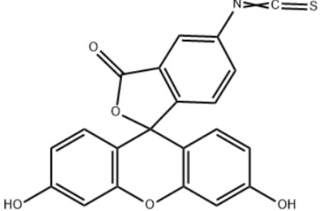 Fluorescein-Hyaluronate 透明质酸-异硫氰基荧光素