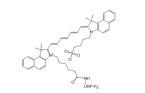 ICG-URP-P5,吲哚菁绿-URP肽-P5