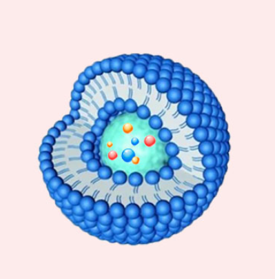 LNP@Target-siRNA,脂质纳米颗粒包裹的靶向小干扰RNA