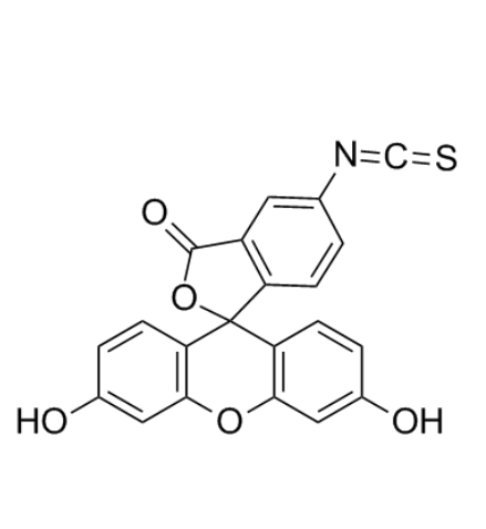 荧光素标记甘露糖  FITC-Mannose的产品使用指南